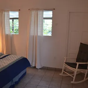 Palm Trees Apartamento